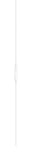 Apple EarPods with Lightning Connector - White