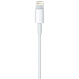 Apple Lightning to USB Cable (1 m)