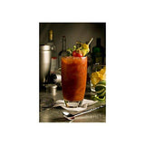 Demitri's Classic Bloody Mary Seasoning Mix - 16 oz