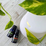Radha Beauty Aromatherapy Top 8 Essential Oils 100% Pure & Therapeutic Grade - Basic Sampler Gift Set & Kit
