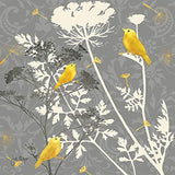 Beautiful Grey & Yellow Poster Set; Birds and Flowers; Two 12x12in and Two 14x11in Black Framed Prints