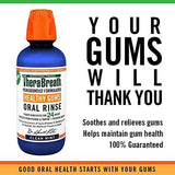 TheraBreath 24 Hour Healthy Gums Periodontist Formulated Oral Rinse, 16 Ounce (Pack of 2)