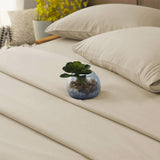 Sonoro Kate Bed Sheet Set Super Soft Microfiber 1800 Thread Count Luxury Egyptian Sheets 16-Inch Deep PocketHypoallergenic-3 Piece (Beige, Twin)