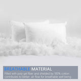 Emolli 12 x 20 Pillow Inserts Set of 2, Throw Pillow Inserts - white