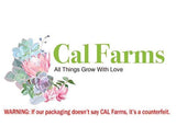 CAL Farms Gardens (20) 2" Beautiful Rosettes Succulents Weddings or Party Favors