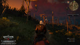 Witcher 3: Wild Hunt - Nintendo Switch