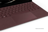 New Microsoft Surface Go
