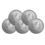 2019 Lot of (5) 1oz Silver Maple Leaf $5 Brilliant Uncirculated