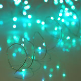 Fairy String USB Plug-in Lights - 33ft Long Twinkle Lights - Color Change Firefly Lights- 13 Vibrant Colors