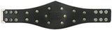 WWE United Kingdom Championship Mini Replica Title