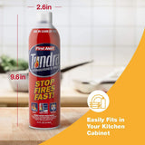 First Alert Fire Extinguisher | Tundra Fire Extinguishing Aerosol Spray, Pack of 2, AF400-2