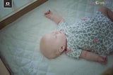 Little One's Pad Pack N Play Crib Mattress Cover - 27" X 39" - Fits Most Baby Portable Cribs, Play Yards and Foldable Mattresses - Waterproof