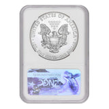 2019 American Silver Eagle $1 MS70 NGC Early Releases