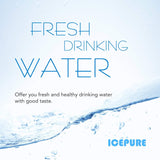 ICEPURE 4396508 Replacement Refrigerator Water Filter