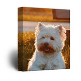 Personalized Photo to Canvas Print Wall Art - Custom Your Photo On Canvas Wall Art (8"x10")