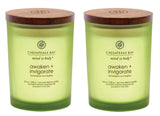 Chesapeake Bay Candle Scented Candles, Awaken + Invigorate, Medium (2-Pack)