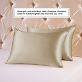 Ravmix Mulberry Silk Pillowcase Standard Size 21 Momme 600 Thread Count Hypoallergenic Both Sides 100% Silk Pillow Case Apricot