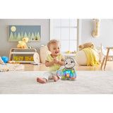 Fisher-Price Linkimals Smooth Moves Sloth