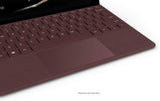 New Microsoft Surface Go (Intel Pentium Gold, 4GB RAM, 128GB)