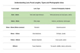 Canon EF 16-35mm f/4L IS USM Lens