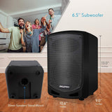 Pyle Bluetooth Karaoke PA Speaker - Indoor / Outdoor Portable Sound System