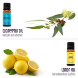 Natrogix Bliss Essential Oils - Top 9 Therapeutic Grade 100% Pure Essential Oil Set 9/10ml (Tea Tree, Rosemary, Orange, Peppermint) w/Free E-Book