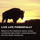 Bison Pemmican Meat Bars with Buffalo & Cranberries by Tanka, Gluten Free, Beef Jerky Alternative, Slow Smoked Original, 1 Oz, Pack of 6