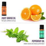 Natrogix Bliss Essential Oils - Top 9 Therapeutic Grade 100% Pure Essential Oil Set 9/10ml (Tea Tree, Rosemary, Orange, Peppermint) w/Free E-Book
