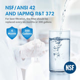 Refrigerator Water Filter Replacement for GE MWF, NSF 42 by Pureza Filter, Pack of 3