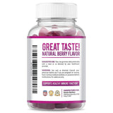 Havasu Nutrition Elderberry Gummies - Supports Immune System Health - Made with Premium Plant-Based Pectin - NO Gelatin, NO Fructose Corn Syrup
