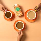 nutpods Pumpkin Spice, Unsweetened Dairy-Free Liquid Coffee Creamer Made From Almonds and Coconuts (4-pack)