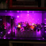 Fairy String USB Plug-in Lights - 33ft Long Twinkle Lights - Color Change Firefly Lights- 13 Vibrant Colors