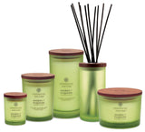 Chesapeake Bay Candle Scented Candles, Awaken + Invigorate, Medium (2-Pack)