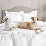 Nestl Bedding Duvet Cover 2 Piece Set – Ultra Soft Double Brushed Microfiber Hotel Collection – 1 Pillow Sham, Light Orange - Twin (Single) 68"x90"