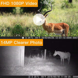 TOGUARD Trail Camera 14MP 1080P Game Hunting Cameras with Night Vision Waterproof 2.4" LCD IR LEDs Night Vision Deer Cam Design