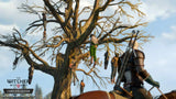Witcher 3: Wild Hunt - Nintendo Switch