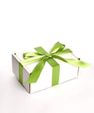 Shop Succulents | Premium Pastel Collection of Live Succulent Plants in Gift Box | Collection of 12