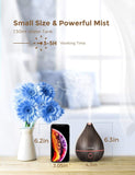 VicTsing Upgraded Mini Oil Diffuser 130ml, Easy to Use Super Quiet Essential Oil Diffuser, Aromatherapy Diffuser with Waterless Auto Shut-off(Black)