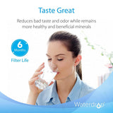 Waterdrop Refrigerator Water Filter, for EWF01, FC-300, FC300, EFF-6018A, 241988703, Pack of 2