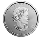 2019 1oz Silver Maple Leaf $5 Brilliant Uncirculated