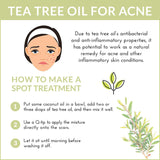 ArtNaturals 100% Pure Tea Tree Essential Oil - (4 Fl Oz / 120ml) - Natural Premium Melaleuca Therapeutic Grade - Great with Soap and Shampoo