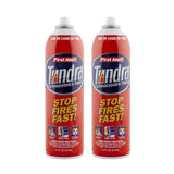 First Alert Fire Extinguisher | Tundra Fire Extinguishing Aerosol Spray, Pack of 2, AF400-2