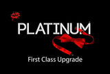 Wet Platinum Lube - Premium Silicone Based Personal Lubricant, 8.9 Ounce