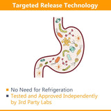 NewRhythm Probiotics 50 Billion CFU 20 Strains, 60 Veggie Capsules, Targeted Release Technology, Stomach Acid Resistant, No Need for Refrigeration