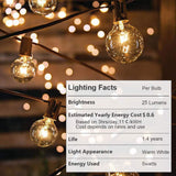 Globe String Lights with 27 Clear G40 Bulbs, Connectable Outdoor /Indoor Lights