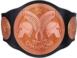 WWE Tag Team Championship Replica Title Belt (2014)