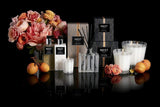 NEST Fragrances 3 Wick Candle- Apricot Tea, 21.2 oz