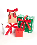 Shop Succulents | Assorted Collection of Live Succulent Plants in Christmas Gift Box, Collection of 4