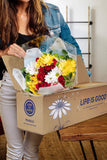 Benchmark Bouquets Life is Good Flowers Hot, Pink, No Vase (Fresh Cut Flowers)