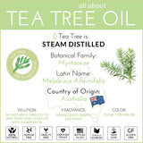ArtNaturals 100% Pure Tea Tree Essential Oil - (4 Fl Oz / 120ml) - Natural Premium Melaleuca Therapeutic Grade - Great with Soap and Shampoo